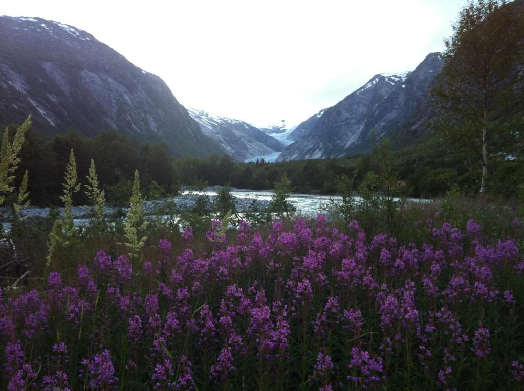 Nigardsbreen Lodge Luster Exteriör bild
